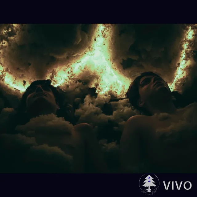 Kodenove — Vivo